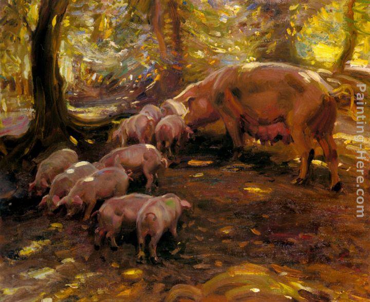 Sir Alfred James Munnings Pigs In A Wood, Cornwall